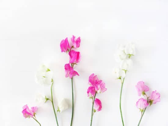 creative convex free stock photos