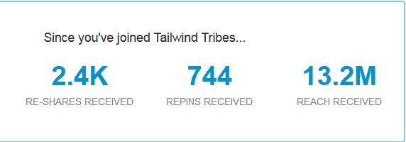 Tailwind Tribes Insights