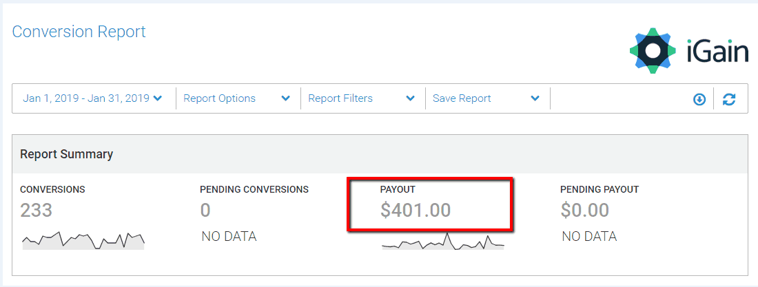 igain_blog_income_report