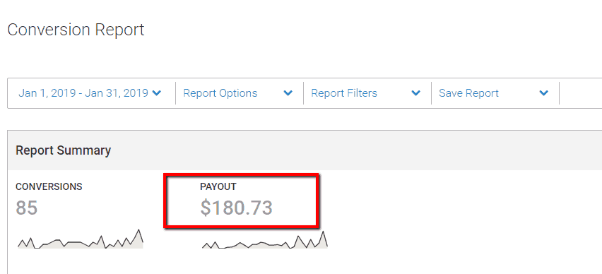 panthera_network_blog_income_report_001