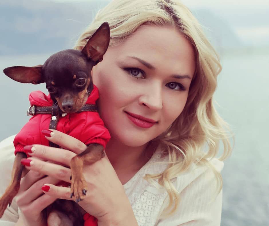 how much can you make as a pet sitter